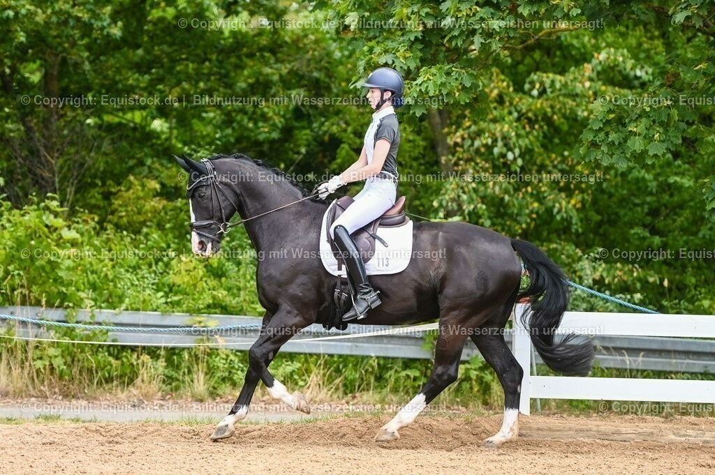 20230715_05_Dressurprüfung Kl.A++_0164 | equistock