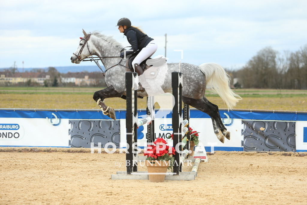DL2Q2553 | Willkommen bei Brunnmayr - Design & Fotografie – Ihrem Spezialisten für Reitturniere und Pferdeveranstaltungen in Oberösterreich, Salzburg und Bayern! Seit über 17 Jahren sind wir leidenschaftlich dabei.