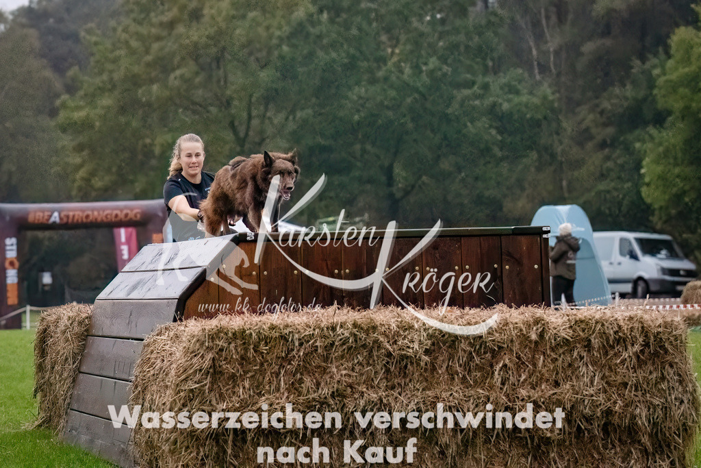 0806-_ZZ90169-Bearbeitet-Bearbeitet | kk-dogfotos