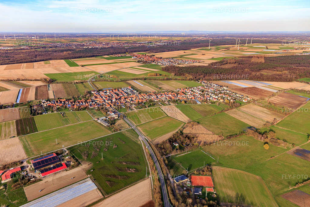 Luftbild: Ortsansicht von Süden in Erlenbach bei Kandel im Bundesland Rheinland-Pfalz in Deutschland. Foto: IMG_120094.jpg vom 15.03.2020 durch Werner Riehm/FLY-FOTO.de