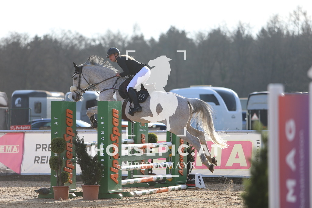 DL2Q8241 | Willkommen bei Brunnmayr - Design & Fotografie – Ihrem Spezialisten für Reitturniere und Pferdeveranstaltungen in Oberösterreich, Salzburg und Bayern! Seit über 17 Jahren sind wir leidenschaftlich dabei.