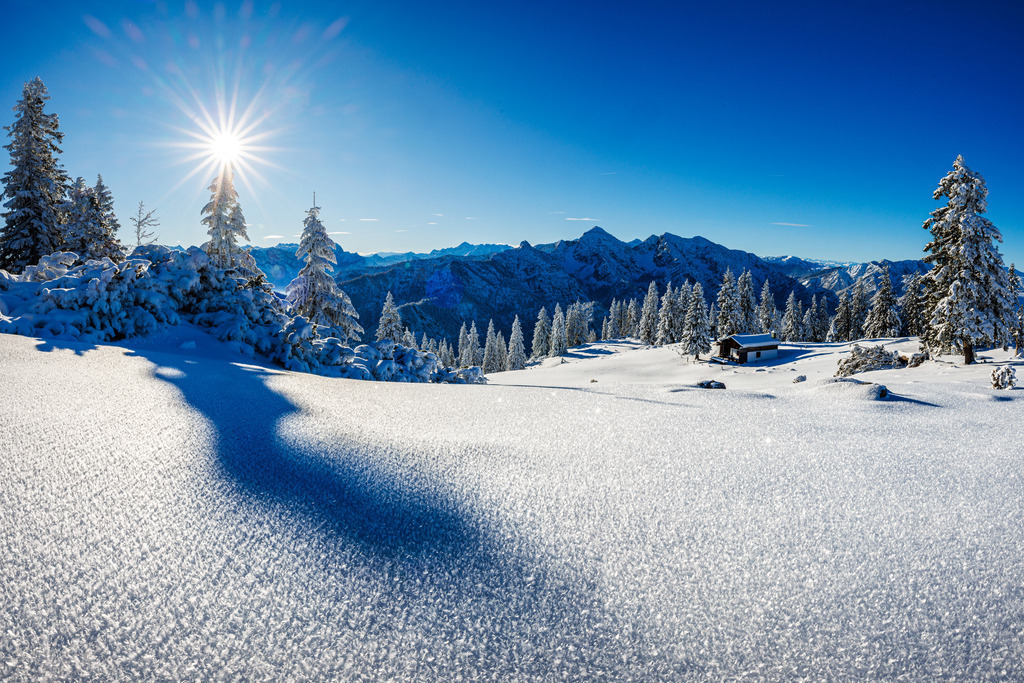 Winter Streicher | ap-design // andreas plenk - Realisiert mit Pictrs.com