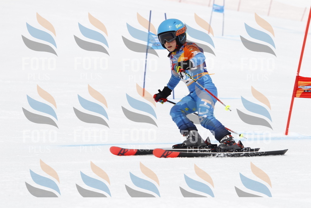 _U3G7121 | holidayphoto