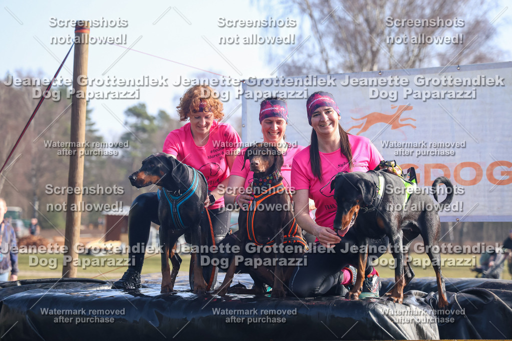 Dog Paparazzi - Strongdog North Mrz26-919 | Dog Paparazzi Jeanette Grottendiek Fotografie & Videografie - Realisiert mit Pictrs.com