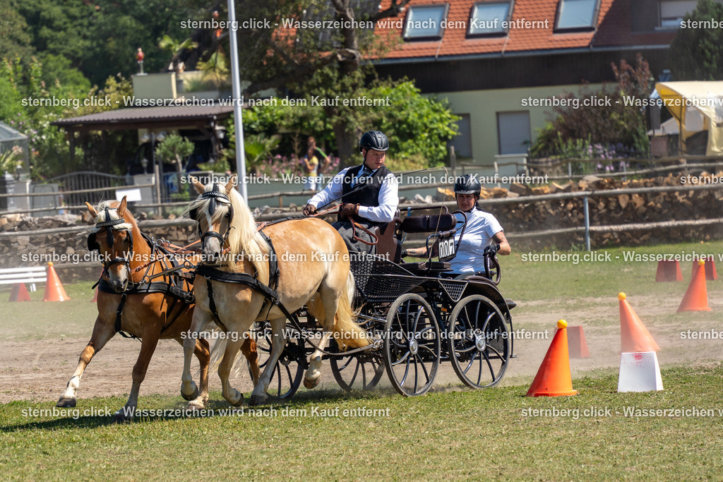 2026-08-09_11-21-14_WBO_Pulsnitz | sternberg.click - Realisiert mit Pictrs.com