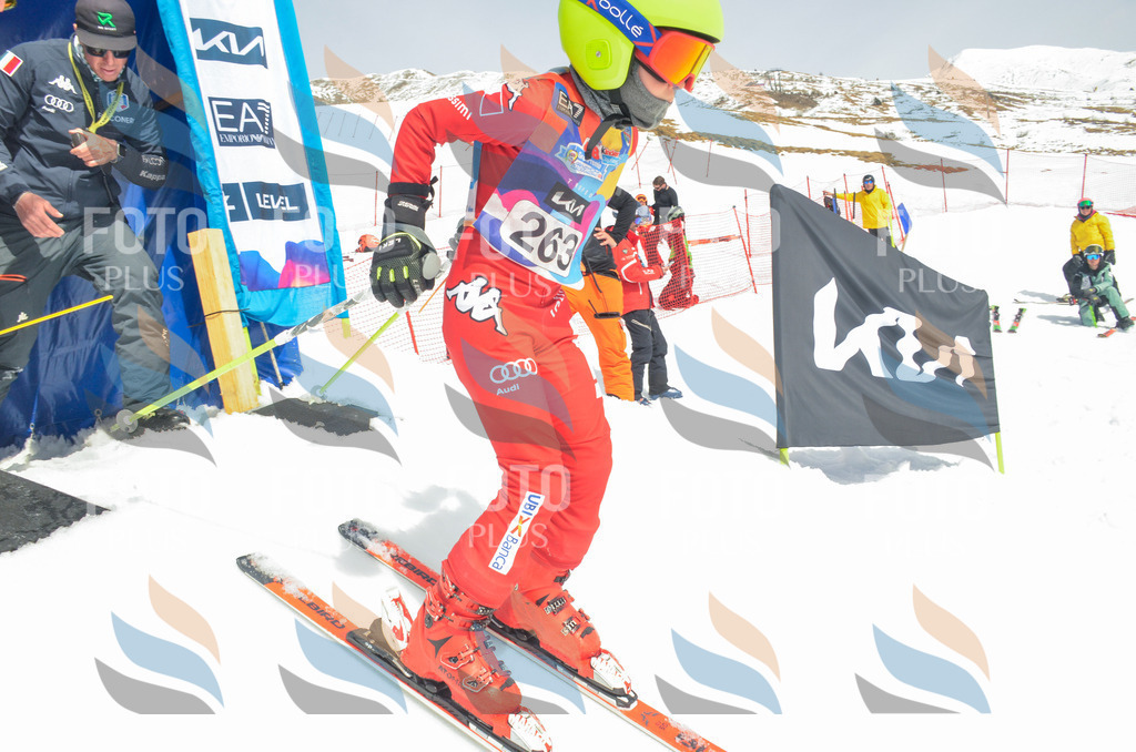 _ELE7695 | holidayphoto