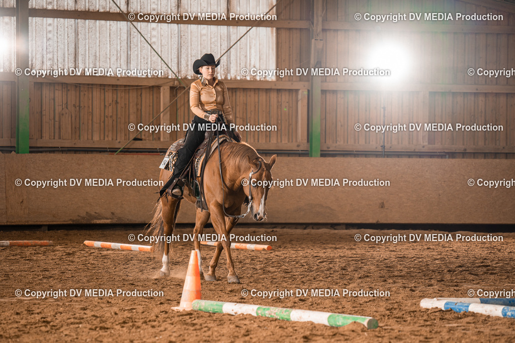 BA300376 | dv-media-shop - Realisiert mit Pictrs.com