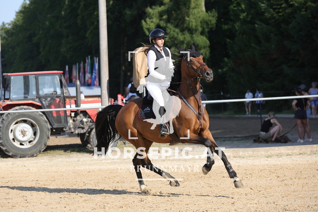 0P6A2156 | Willkommen bei Brunnmayr - Design & Fotografie – Ihrem Spezialisten für Reitturniere und Pferdeveranstaltungen in Oberösterreich, Salzburg und Bayern! Seit über 17 Jahren sind wir leidenschaftlich dabei.