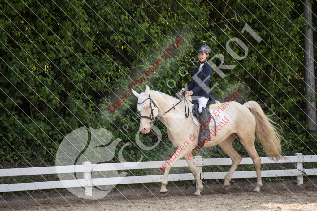 IMG_3767 | Sport-, Event- und Tierfotos in Profiqualität. Einfach auswählen, bestellen und herunterladen. Dein Moment – perfekt festgehalten.
