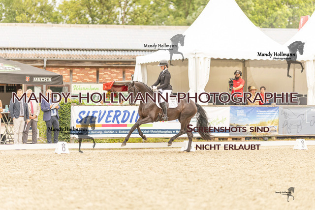 SW 4-373 | mandyhollmannphotographie