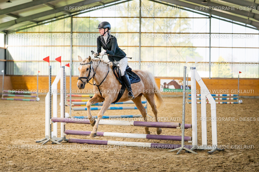 DSC00862 | Pferdegrafie