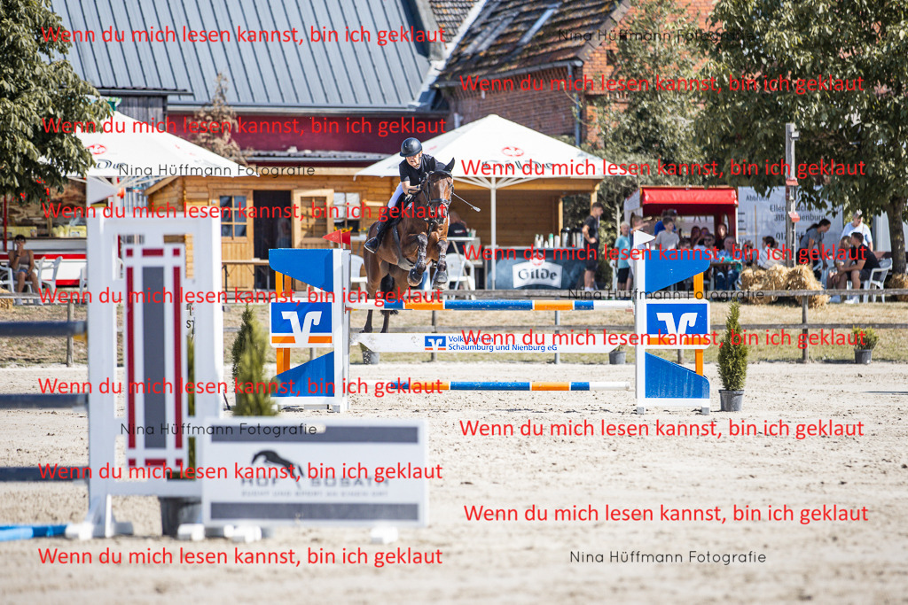 BK1A6864 | Turnierbilder Turnierfotos Nina Hüffmann Turnierfotografie Pferdefotografie Tierzeichnung Haustierzeichnung Pferdezeichnung Hundezeichnung Videograf  - Realisiert mit Pictrs.com