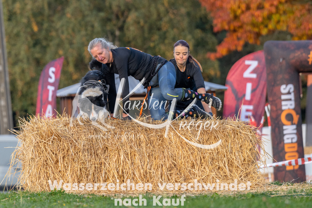 0859_ZZ91992 | kk-dogfotos