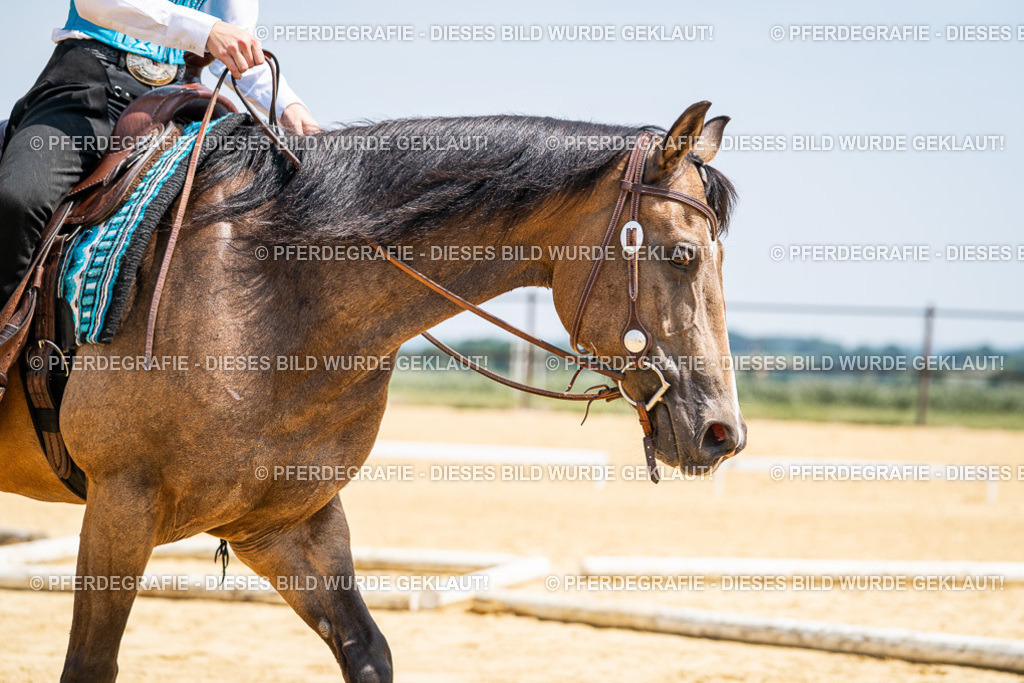 DSC00956 | Pferdegrafie