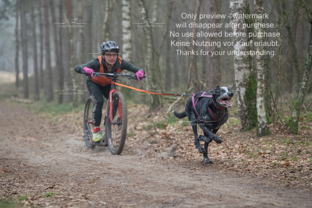 Scooter1-34 | stephaniefillaphotographie - Realisiert mit Pictrs.com