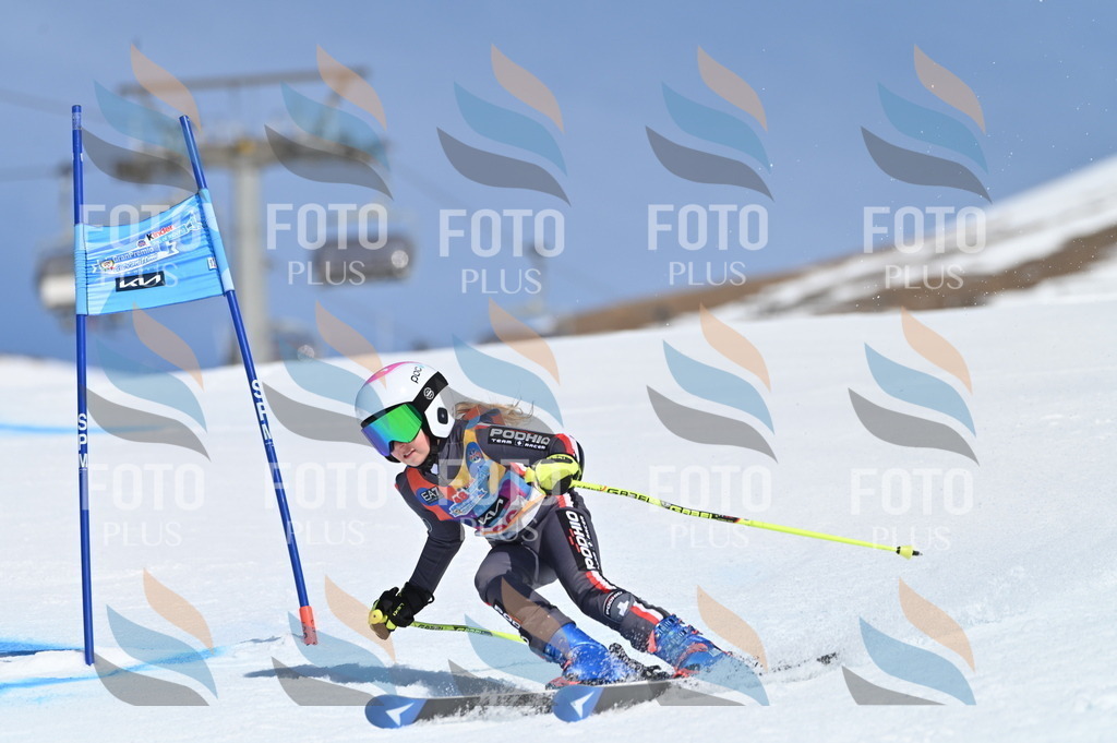 BGV_9180 | holidayphoto