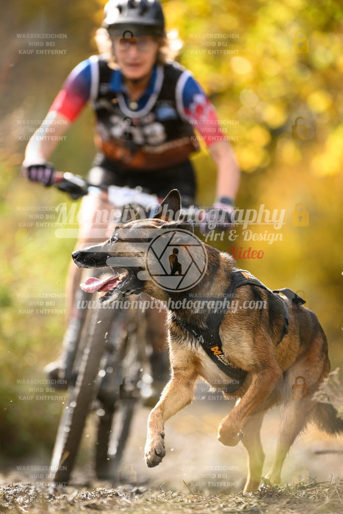 MompixPhotography_ICF_WC_2024_SA_Bike_-350 | PayLife