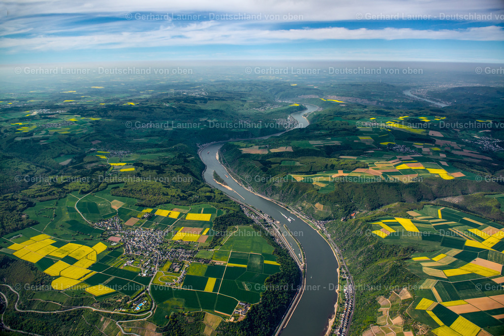 3490994 | Rhein bei Werlau