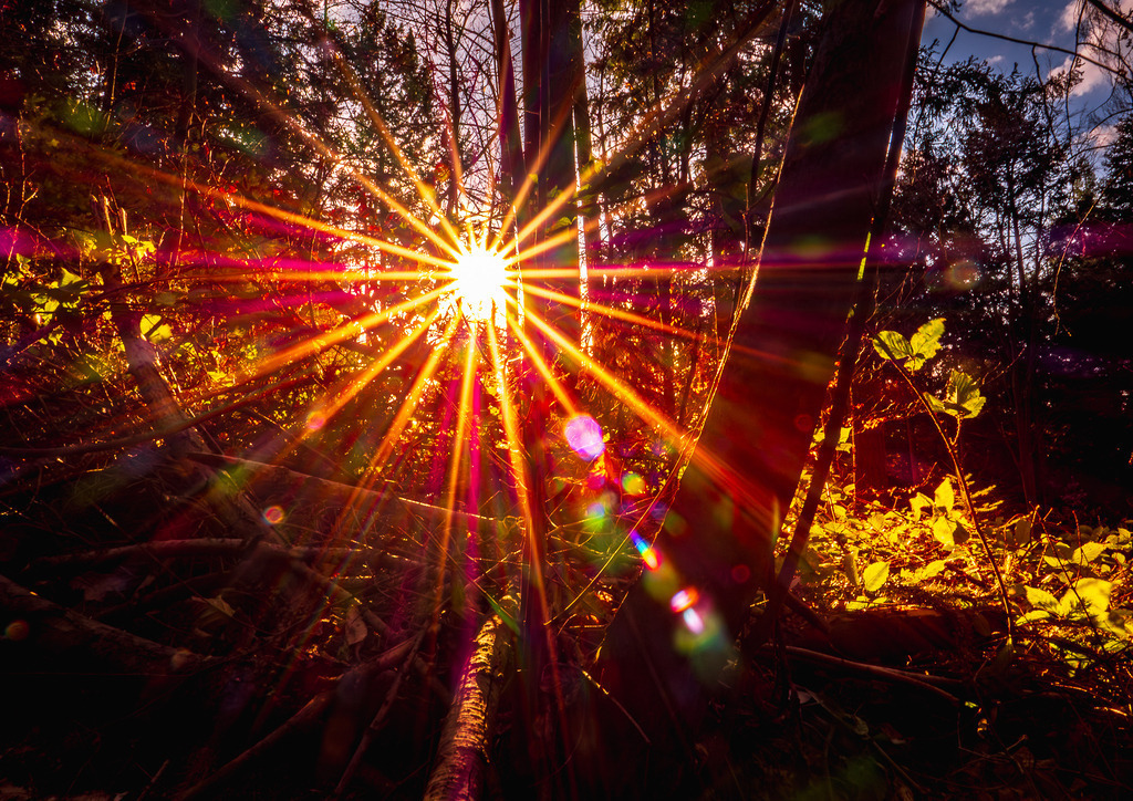 MPI_Sunset_0007 | Sonnenuntergang im Wald bei der Fuchslochhütte bei Nesselried - Realisiert mit Pictrs.com