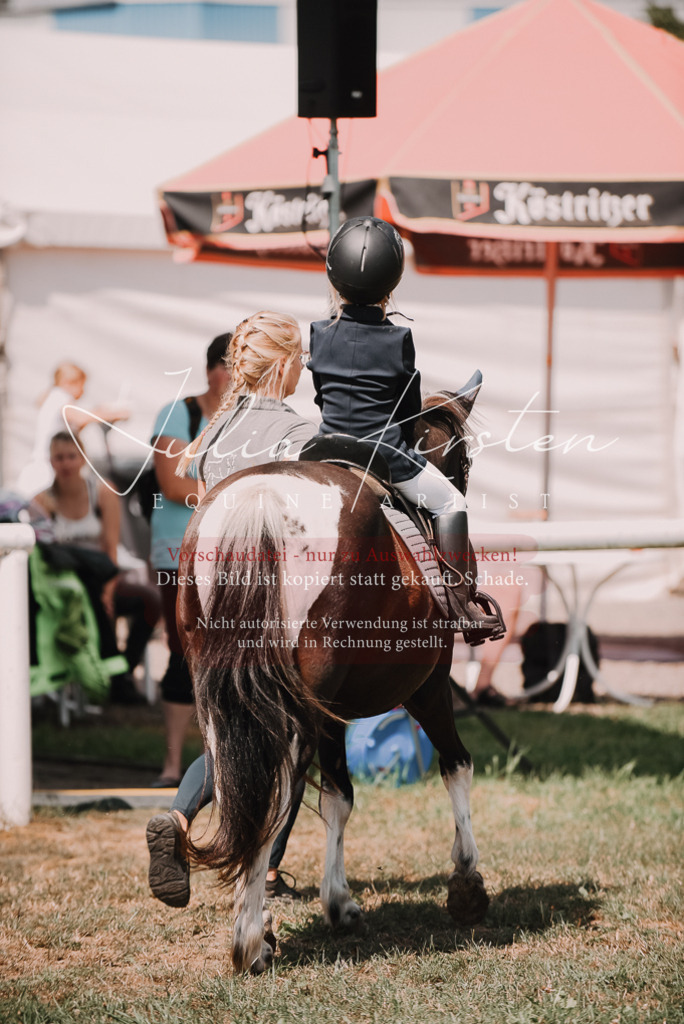 DSC_6238 | Pferde- und Turnierfotografie in Westsachsen. Pferdeportraits, Auftragszeichnungen und intuitive Kunst.