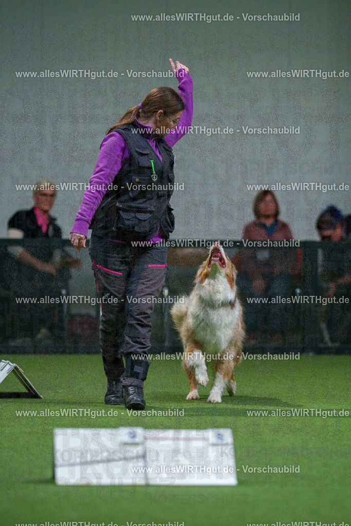7R503881 | Professionelle Tierfotografie in Mönchengladbach von Daniel Wirth (allesWIRTHgut). Liebevolle & natürliche Bilder von Hunden & Katzen für unvergessliche Erinnerungen.