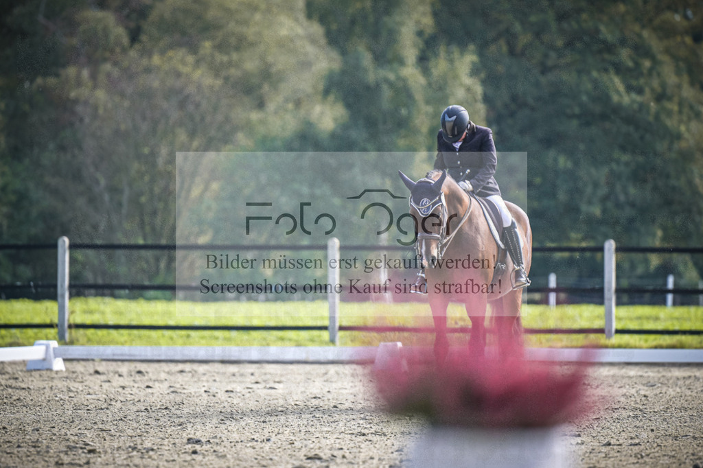 DOS_1073 | Entdecke hochwertige Reitturnierfotos von Foto Oger. Professionell, emotional und authentisch – jetzt Lieblingsmomente im Shop bestellen.Deutschlandweite Turnierfotografie. - Realisiert mit Pictrs.com