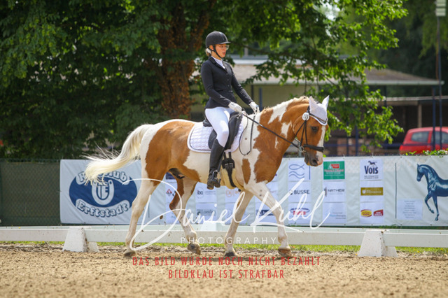 DKP42144 | Turniersportfotografie; Pferdefotografie; Dressurfotografie