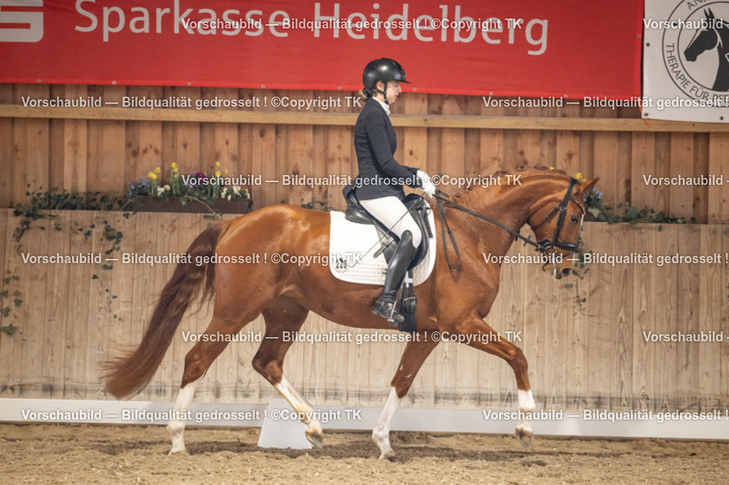 _D5A8598 | Emotionale Pferde- & People-Fotografie rund um Heidelberg, Leimen & Umgebung. Natürliche Fotos von Pferd, Mensch & Familie. Jetzt Termin sichern!