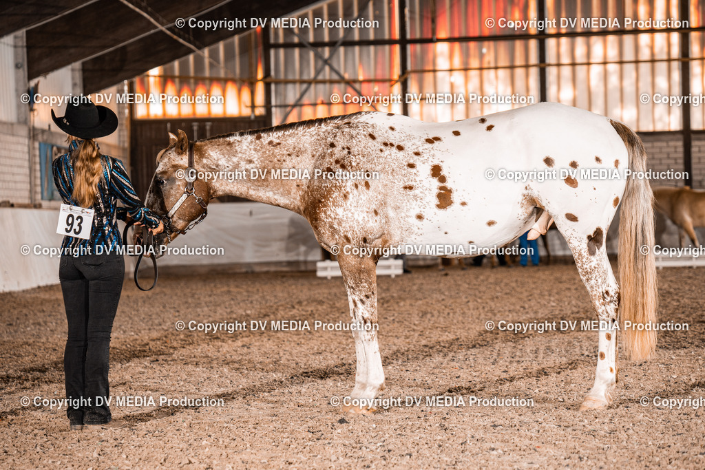 ZH100066 | dv-media-shop - Realisiert mit Pictrs.com