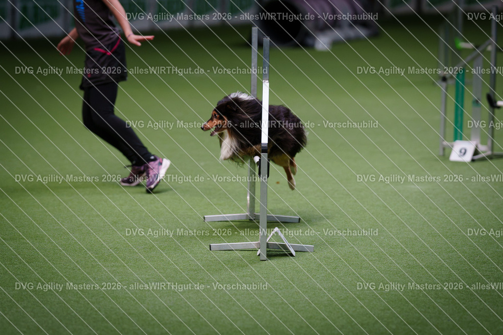 allesWIRTHgut_Tierfotografie-DVG_Agility_Masters_2026-09_27-7R509288 | Professionelle Tierfotografie in Mönchengladbach von Daniel Wirth (allesWIRTHgut). Liebevolle & natürliche Bilder von Hunden & Katzen für unvergessliche Erinnerungen.