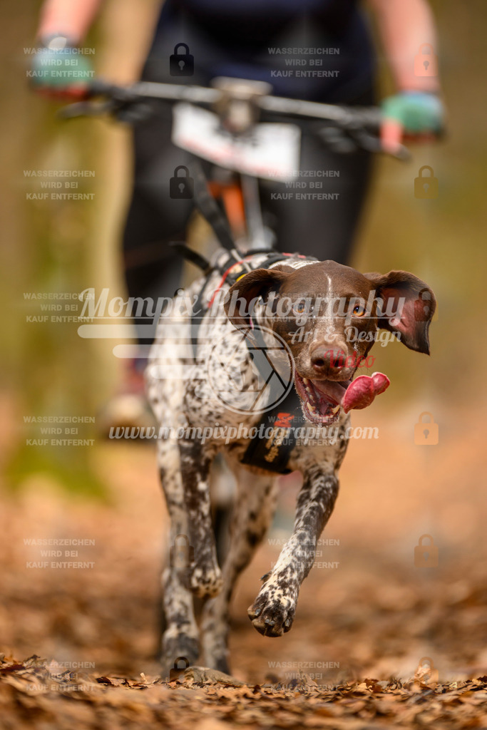 MompixPhotography_Habay2025_SA_Bike-183 | PayLife