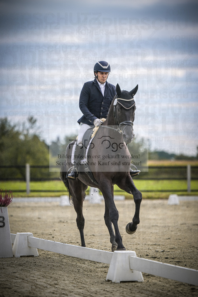 DOS_0493 | Entdecke hochwertige Reitturnierfotos von Foto Oger. Professionell, emotional und authentisch – jetzt Lieblingsmomente im Shop bestellen.Deutschlandweite Turnierfotografie. - Realisiert mit Pictrs.com