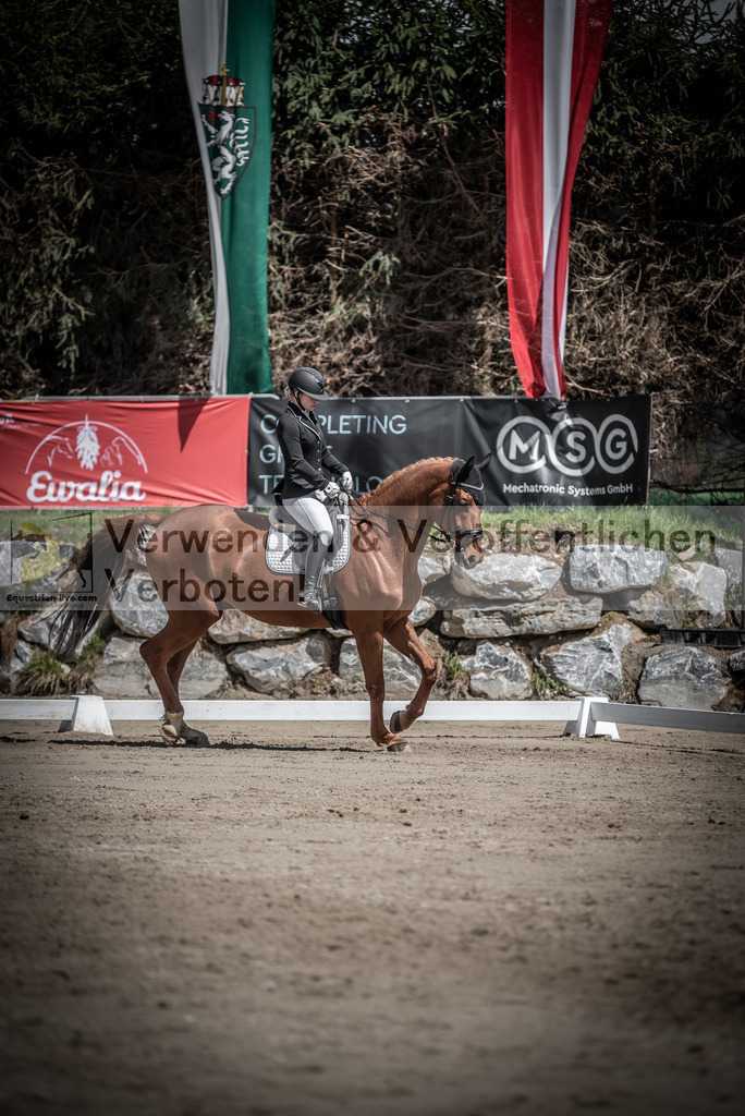 DSC_0732 | equestrian-live-com