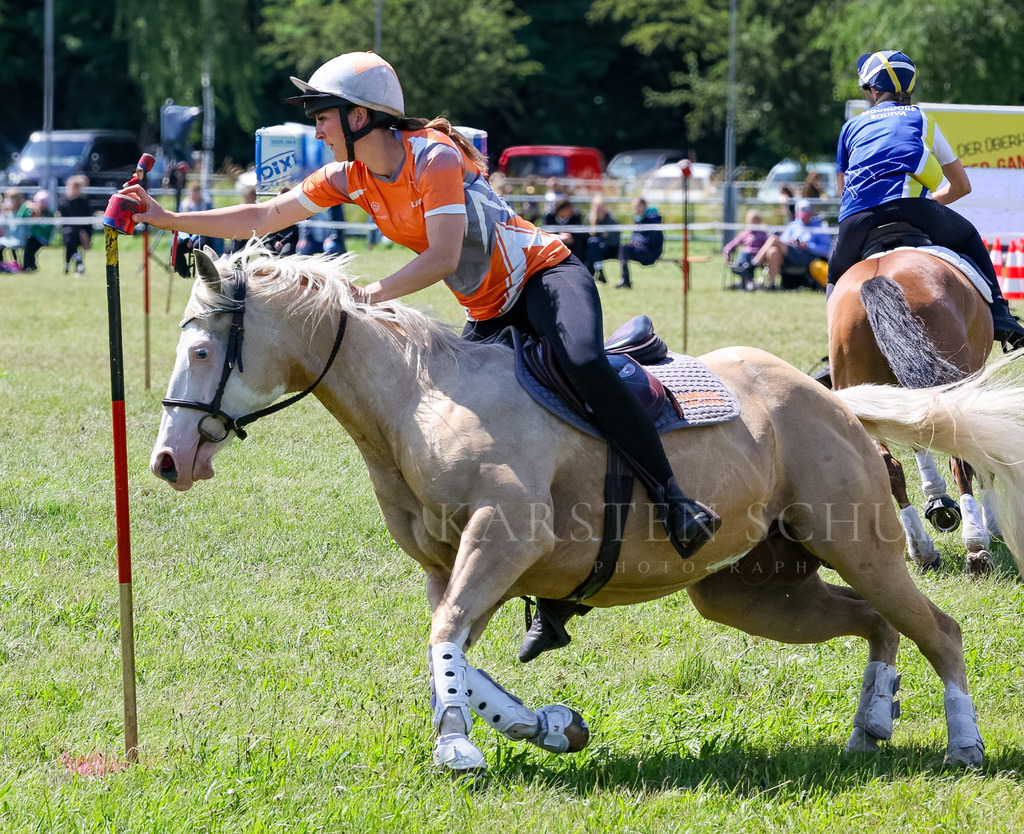 IMG_1637 | Reitsport Reiten