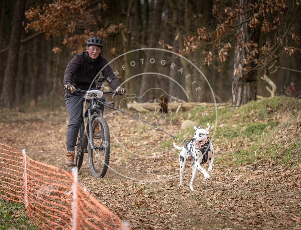 Pfotenfotografie_DV3A1952 | Hundefotografie, Tierfotograf, Pfotenfotografie, Fotoshooting Hund, Hunde Portrait, Hundesport, Hundeportraits, Heideshooting, Hunde, Sportfotograf, Hundefotograf, Turnierhundsport, THS,  - Realisiert mit Pictrs.com