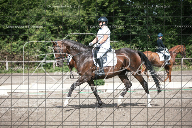 _W6A8166 | ronjaprokoschfotografie - Realisiert mit Pictrs.com