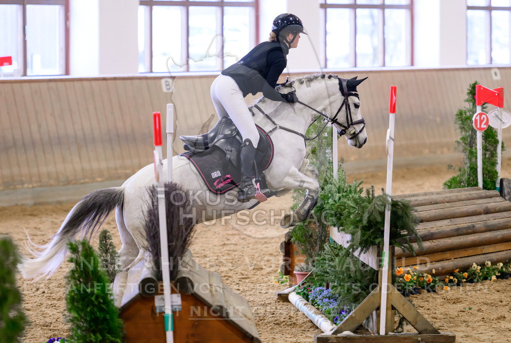 29032026-Schwaiganger-Prfg03-1-0338 | Fokus Hufschlag Fotografie - Realisiert mit Pictrs.com