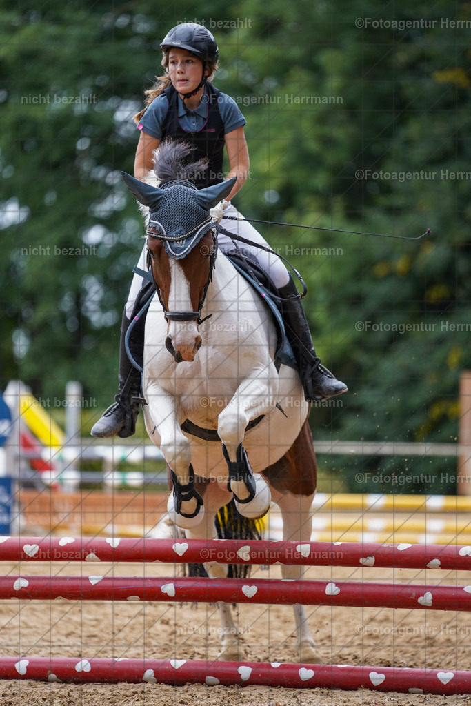 20231008-SN_01626 | Diessen am Ammersee, 2023, Dressur- und Springturnier, Reitsport, Turnierfotografie, Pferdebilder, Reitbilder, Turnierfotografen Bayern, Fotoagentur Herrmann