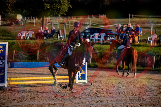 2026_10_03_Siefer-Hof_171050_Z81_07877926 | Professionelle Reitsport-, Turnier- und Eventfotografie von Robert Broda. Galerien mit ausgewählten und bearbeiteten Bildern direkt online ansehen und bestellen.