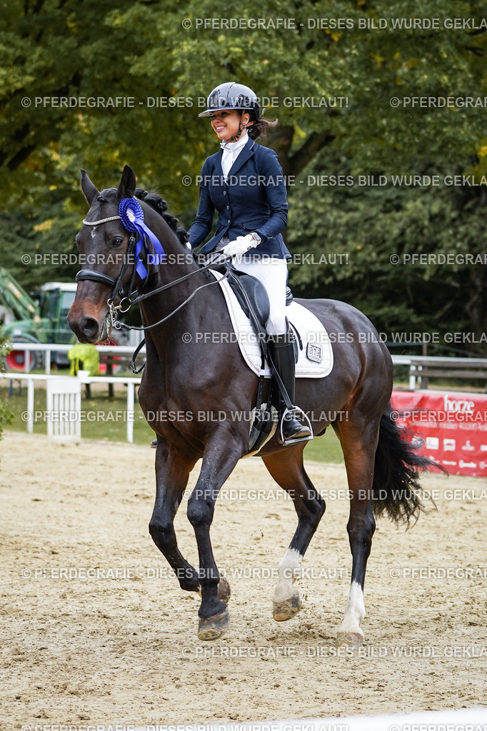 DSC02672 | Pferdegrafie