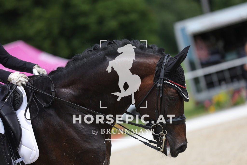 0P6A5509 | Willkommen bei Brunnmayr - Design & Fotografie – Ihrem Spezialisten für Reitturniere und Pferdeveranstaltungen in Oberösterreich, Salzburg und Bayern! Seit über 17 Jahren sind wir leidenschaftlich dabei.