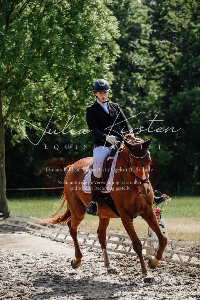 DSC_0269 | Pferde- und Turnierfotografie in Westsachsen. Pferdeportraits, Auftragszeichnungen und intuitive Kunst.