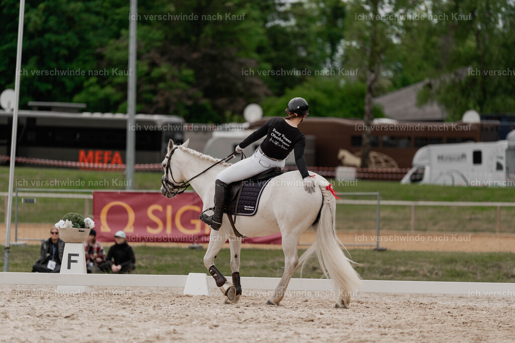 Showprogramm-176 | working equitationturnier fotograf videograf stoibphotography marixx film working equitation deutschland reitsport turnierfotografie eventfotografie equestrian events