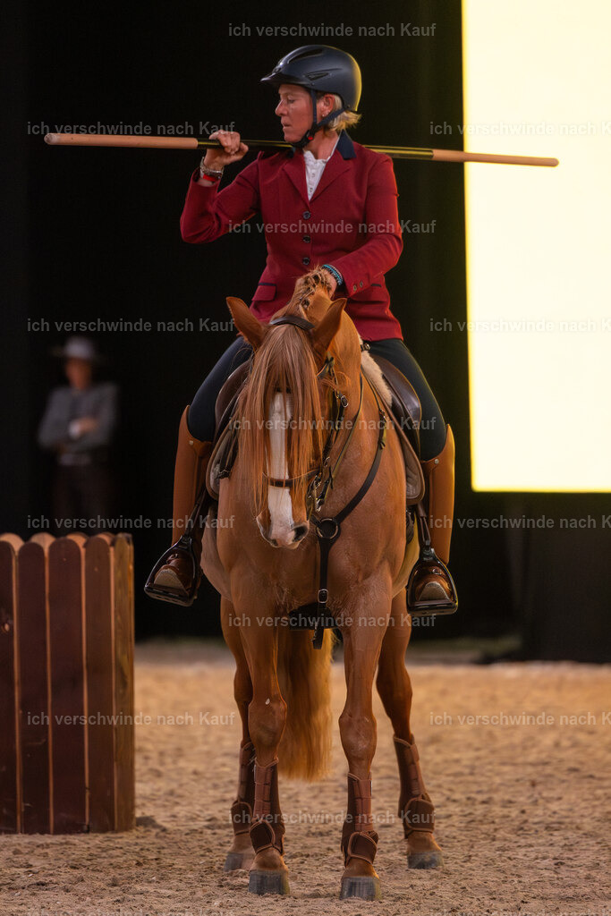 JoseraCup-80 | working equitationturnier fotograf videograf stoibphotography marixx film working equitation deutschland reitsport turnierfotografie eventfotografie equestrian events