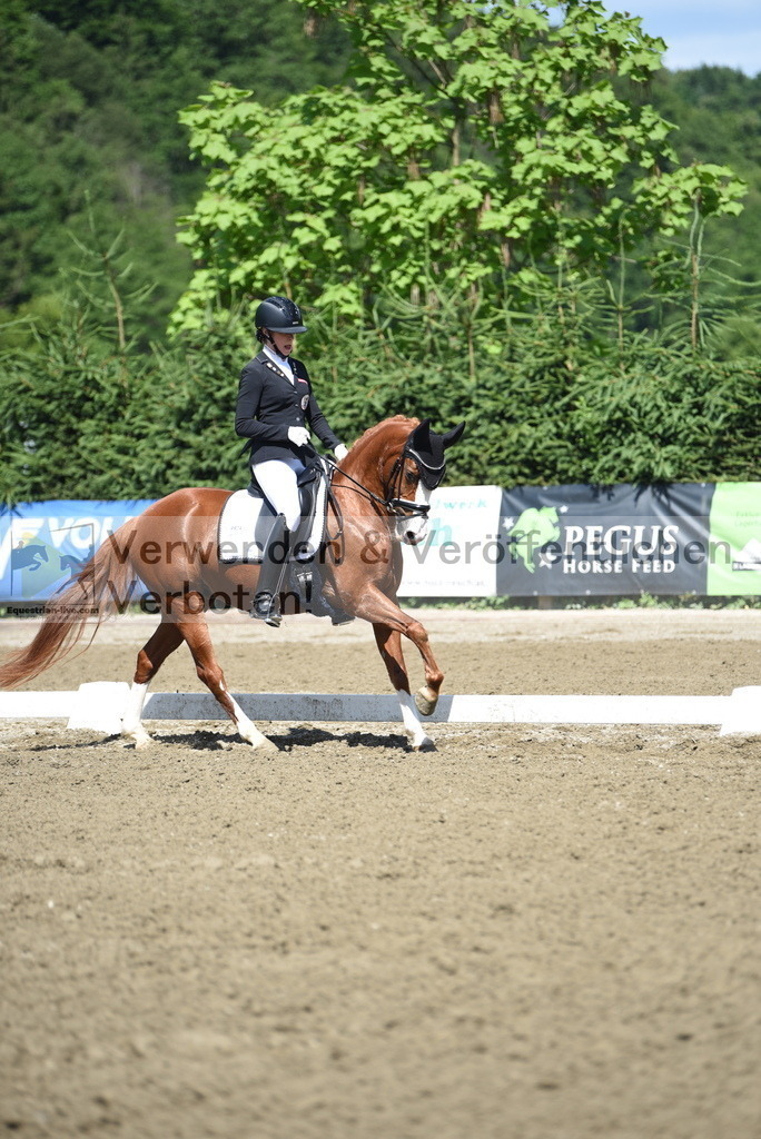 DSC_0240 | equestrian-live-com