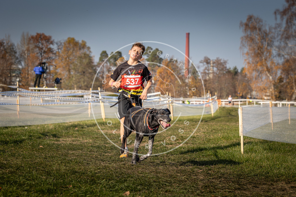 CaniXpix_0L8A8942 | Hundefotografie, Tierfotograf, Pfotenfotografie, Fotoshooting Hund, Hunde Portrait, Hundesport, Hundeportraits, Heideshooting, Hunde, Sportfotograf, Hundefotograf, Turnierhundsport, THS,  - Realisiert mit Pictrs.com