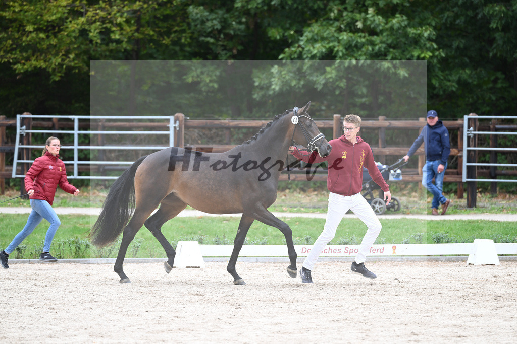 Kat-Nr. 19 Noblesse Oblige_Societe Hippique et dElevage S.A._49221311 | hf-fotografie - Realizzato con Pictrs.com