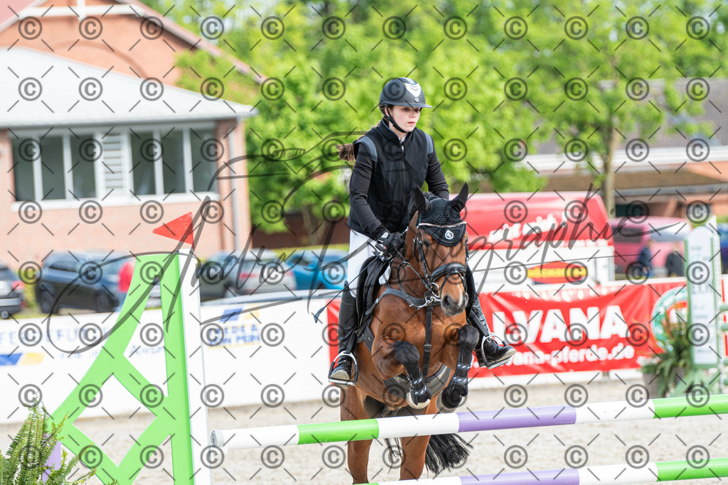 KPT_8032 | andre_photographic