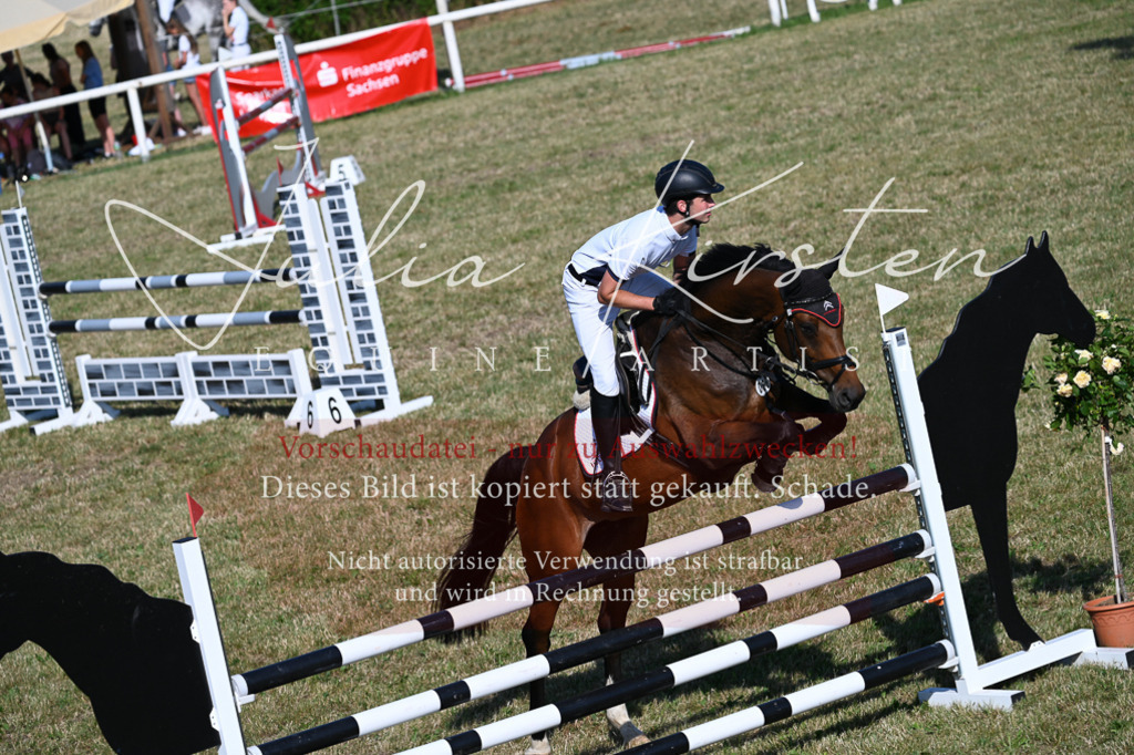 DSC_2518 | Pferde- und Turnierfotografie in Westsachsen. Pferdeportraits, Auftragszeichnungen und intuitive Kunst.