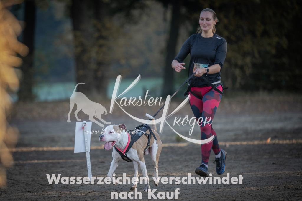 0932_ZZ93398 | kk-dogfotos